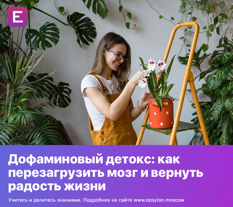 Дофаминовый детокс: как перезагрузить мозг и вернуть радость жизни