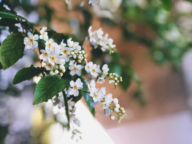 Мы обсуждали с вами, чего не стоит говорить человеку в горе