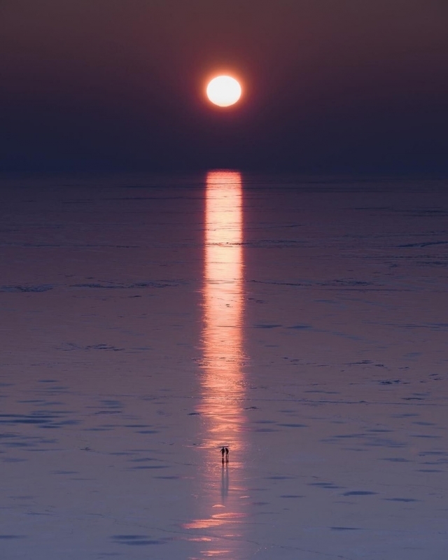 Оставьте всех в покое, даже себя, и у вас все будут… Оставьте всех в покое, даже себя, и у вас все будут…