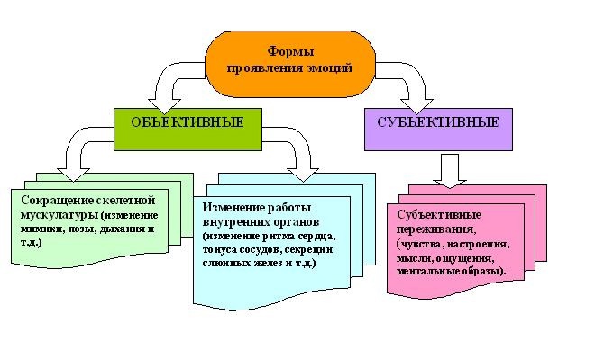 Эмоциональные процессы и состояния