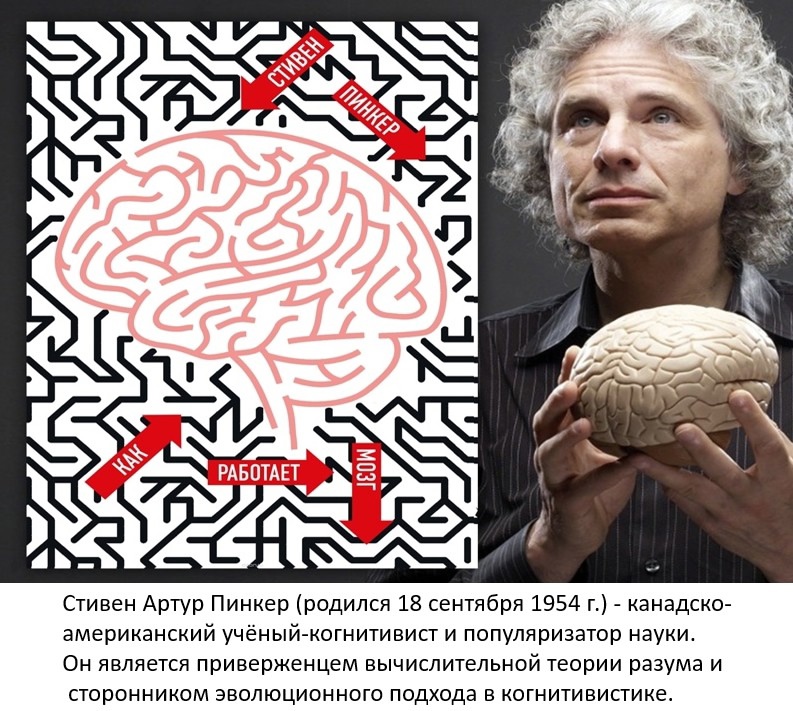 Как работает мозг