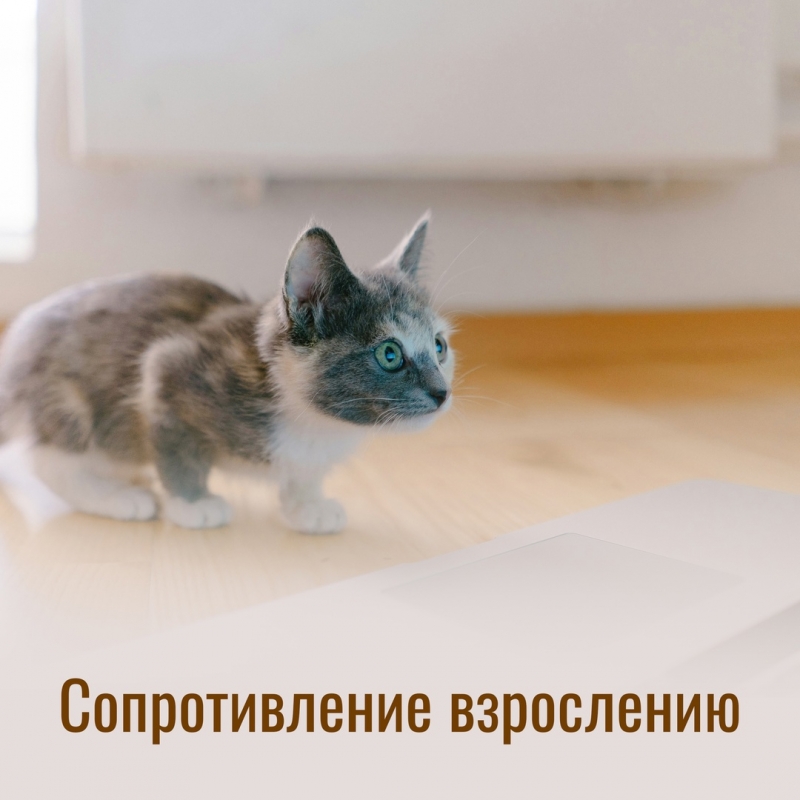 Сопротивление взрослению