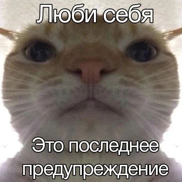 Небольшие дела и уважительное внимание к сделанному Небольшие дела и уважительное внимание к сделанному