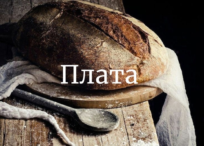 Плата Плата