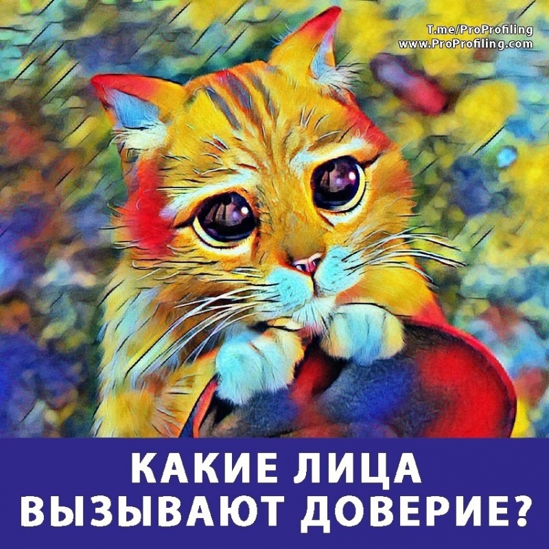 Какие лица вызывают доверие? Какие лица вызывают доверие?
