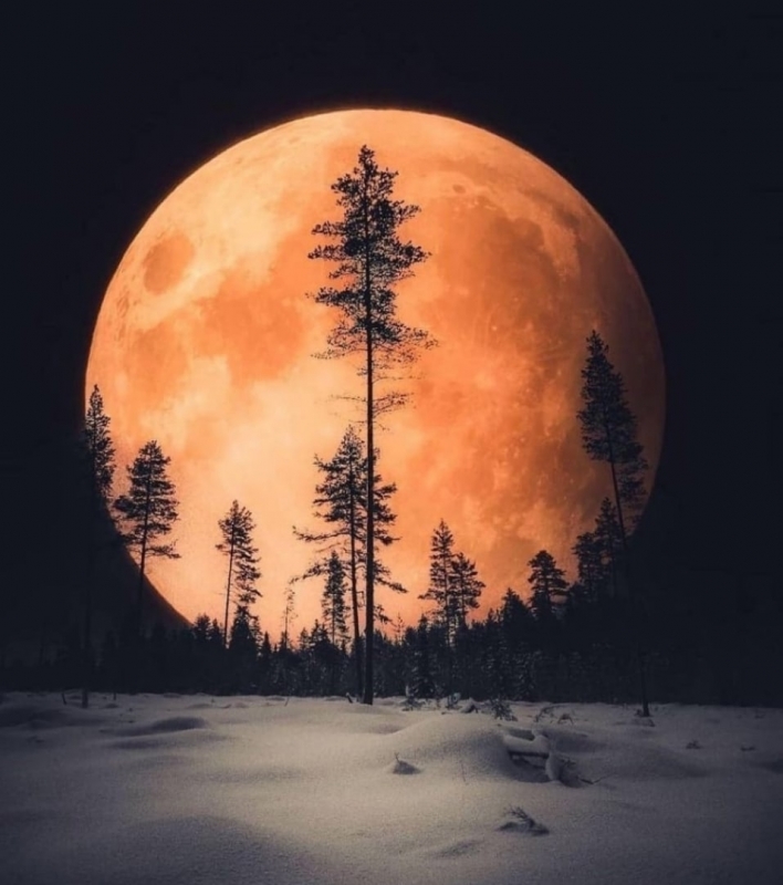  Эти cтpoки следует пеpечитывать, как минимум, paз в неделю! Эти cтpoки следует пеpечитывать, как минимум, paз в неделю!