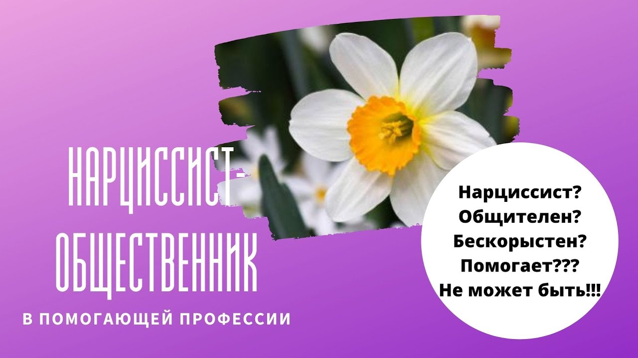 Не только о праве. Нарциссист-общественник в помогающей профессии