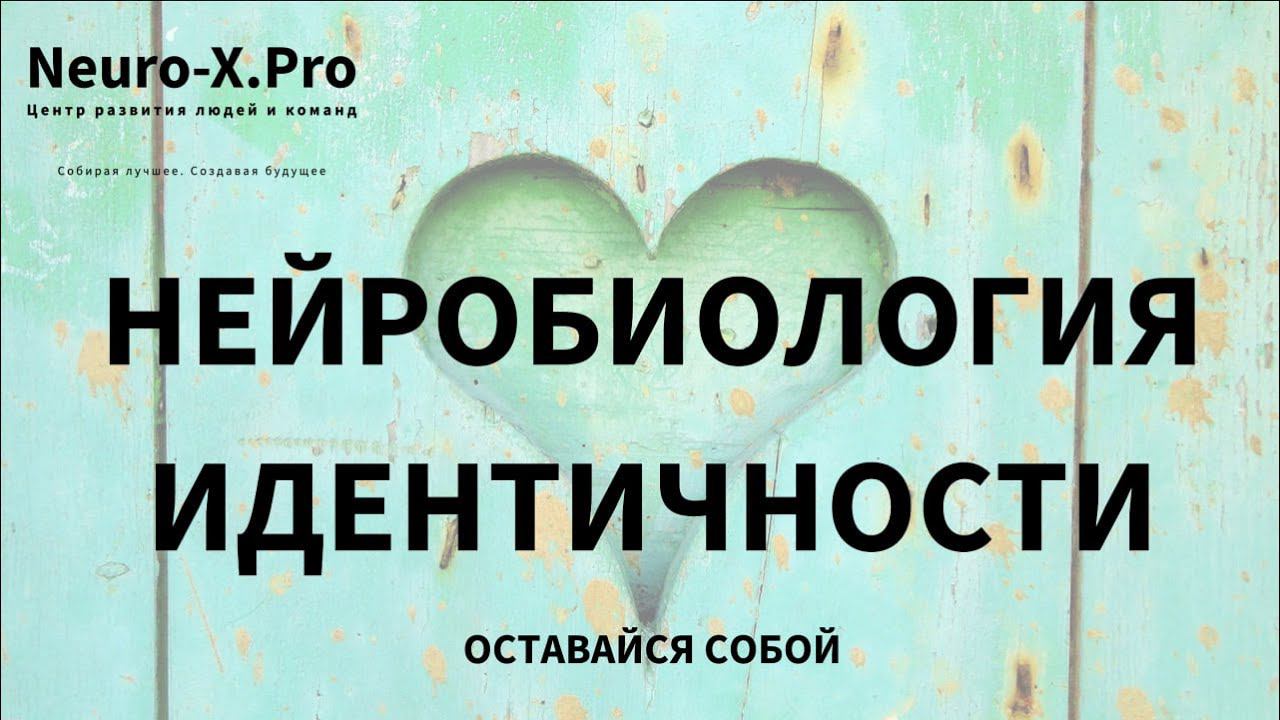 Нейробиология идентичности. Нервные сети. Дистальное мышление #нейробиология #нейросети #мышление